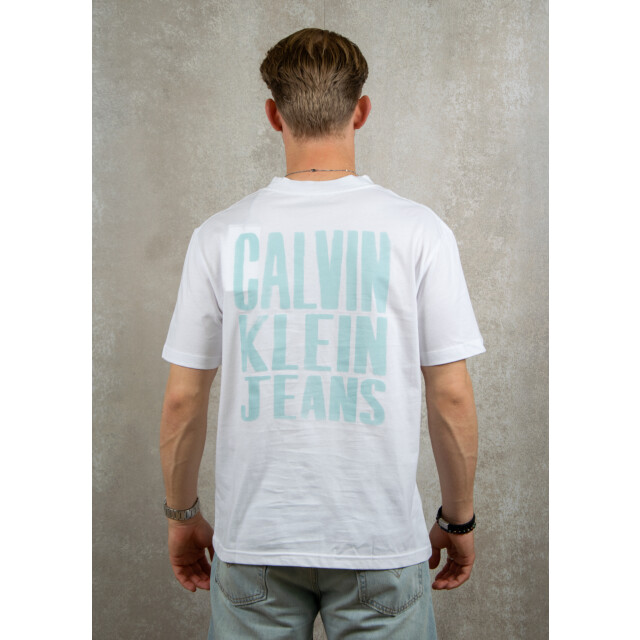 Calvin Klein Painted tee 100.00.1034 large