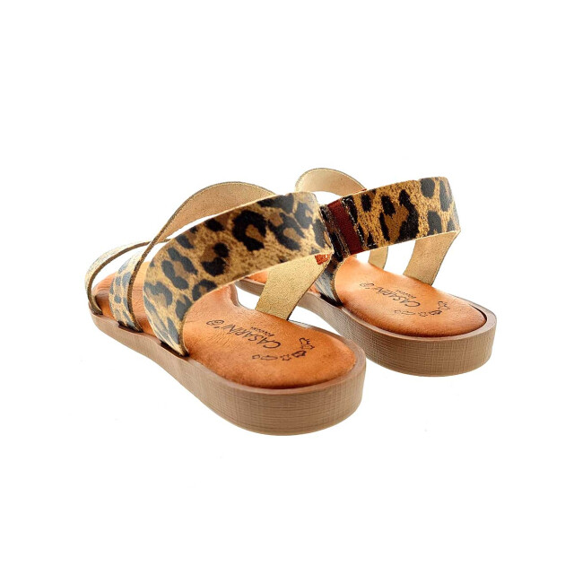 Casarini 252 sandalen 25362 large