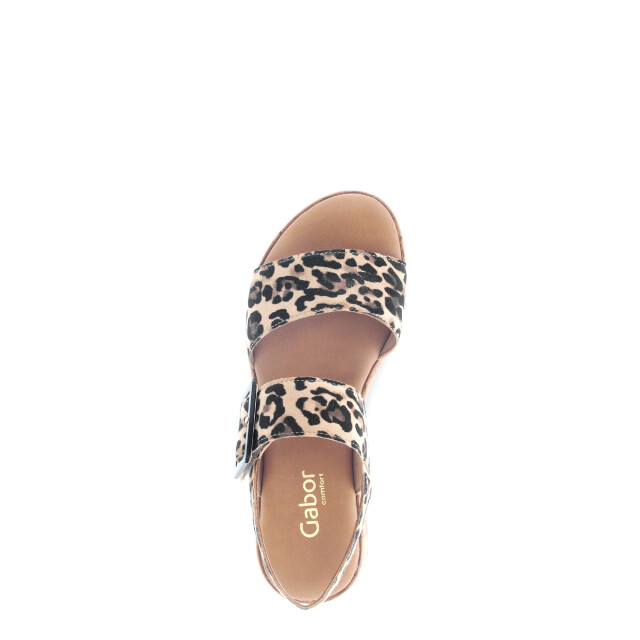 Gabor 62.744.90 Sandalen Print / Multi 62.744.90 large