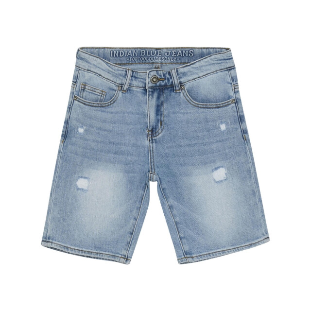 Indian Blue 960228  960228  large
