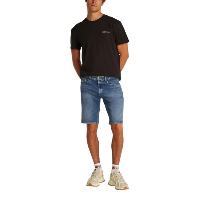 Tommy Hilfiger Men shorts SYNC2FASHION-2419042 large