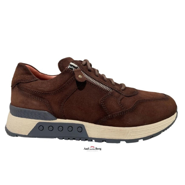 Greve Herenschoenen sneakers 4299.77.002 Haarlem K large