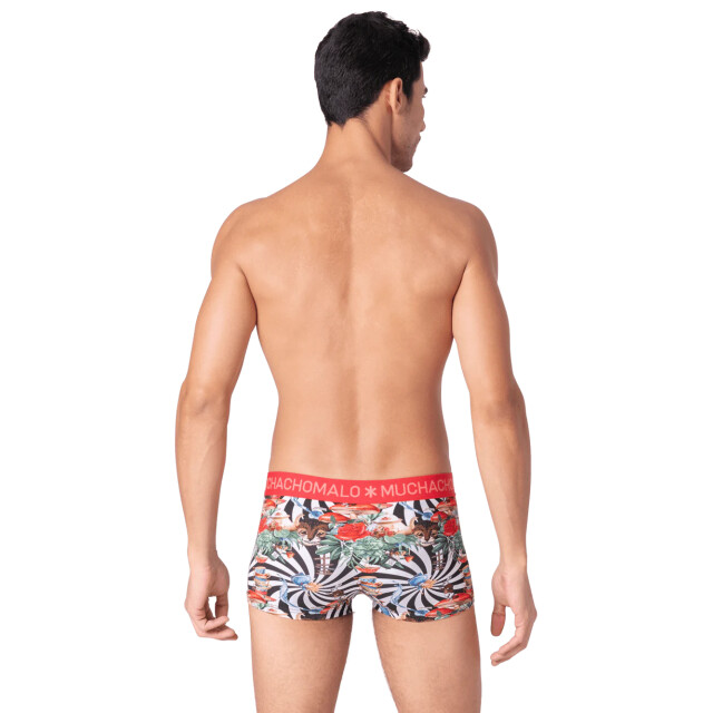 Muchachomalo Heren 3-pack trunks jackbean alicewonder JACKBEANALICEWONDER3025-07 large Muchachomalo Heren 3-pack trunks jackbean alicewonder JACKBEANALICEWONDER3025-07 large