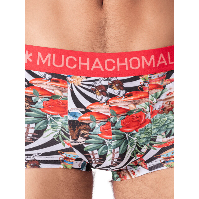 Muchachomalo Heren 3-pack trunks jackbean alicewonder JACKBEANALICEWONDER3025-07 large Muchachomalo Heren 3-pack trunks jackbean alicewonder JACKBEANALICEWONDER3025-07 large