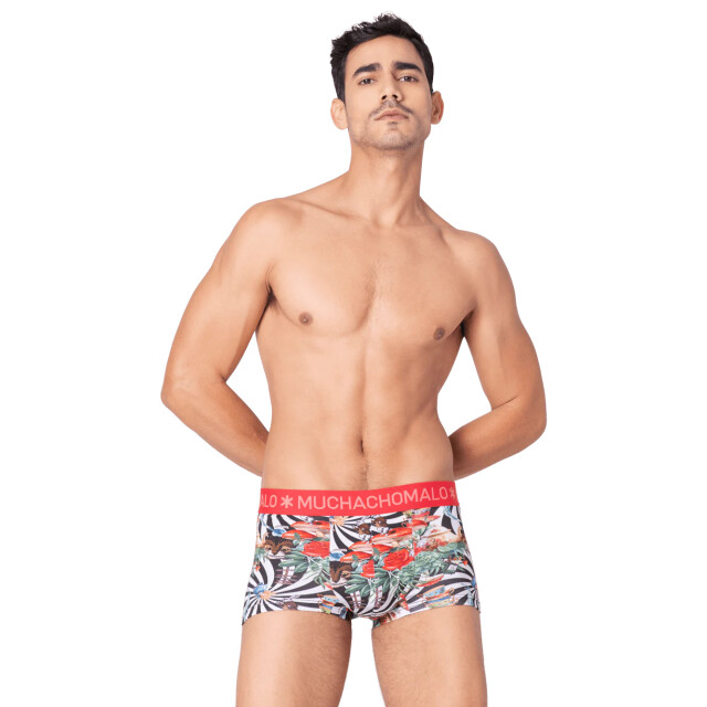 Muchachomalo Heren 3-pack trunks jackbean alicewonder JACKBEANALICEWONDER3025-07 large Muchachomalo Heren 3-pack trunks jackbean alicewonder JACKBEANALICEWONDER3025-07 large