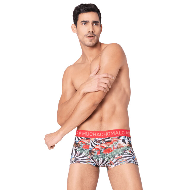 Muchachomalo Heren 3-pack trunks jackbean alicewonder JACKBEANALICEWONDER3025-07 large Muchachomalo Heren 3-pack trunks jackbean alicewonder JACKBEANALICEWONDER3025-07 large
