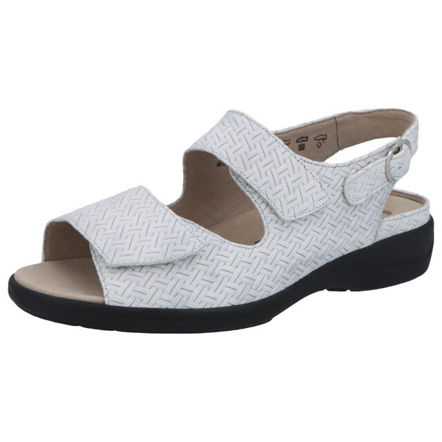 Solidus Lia 73144-20825 large