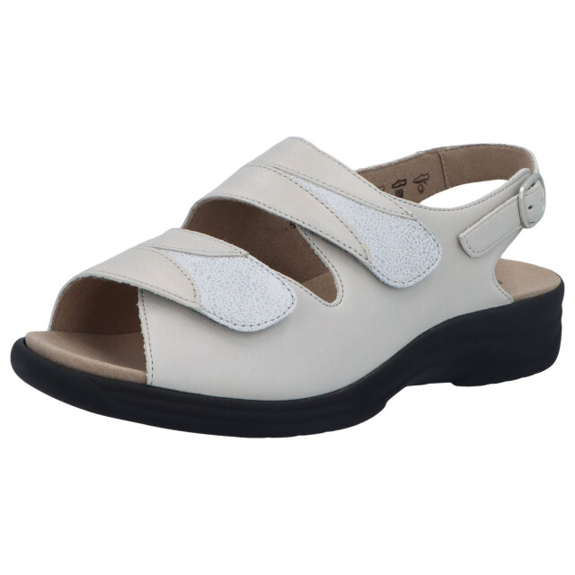 Solidus Moni 74019-10316 large Solidus Moni 74019-10316 large