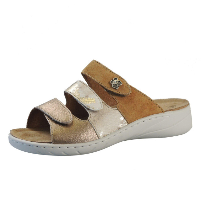 Solidus Wellness spezial 20141-30424 large