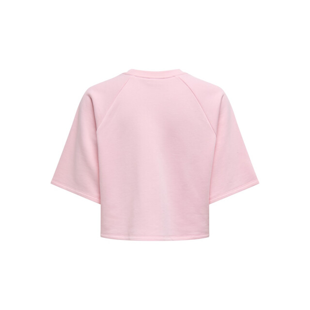 Only Onlcora ss print o-neck ub swt licht 4339.61.0001 large