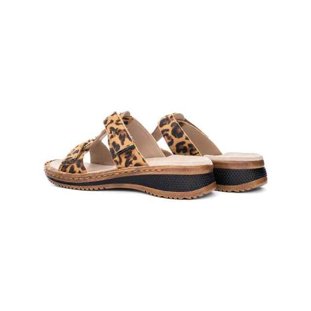 Ara 1229003 hawaii leo 3033 1229003 large