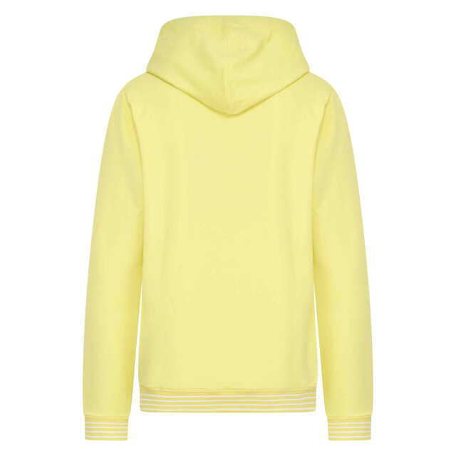 HV Society Hoodie hvskimora 0401103610_1000 large