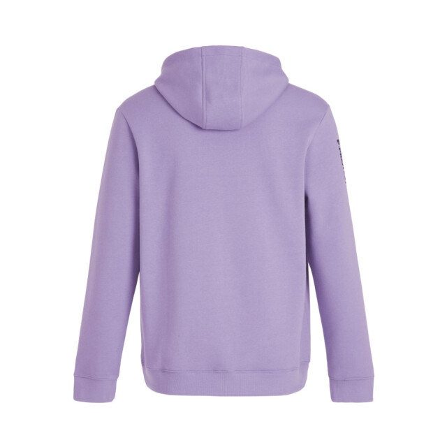 Protest classic logo hoody men hoodie heren - 071334_730-M large