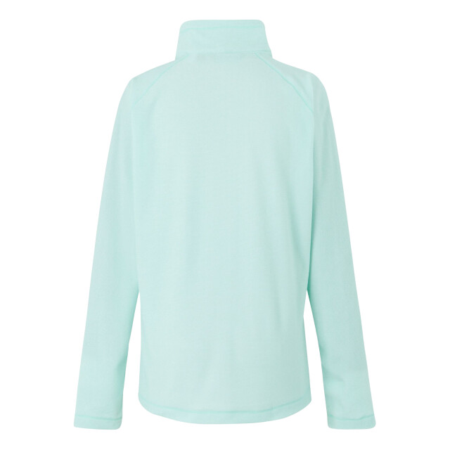 Regatta Geweldige outdoor dames montes half zip fleece top UTRG1953_icymornwhite large