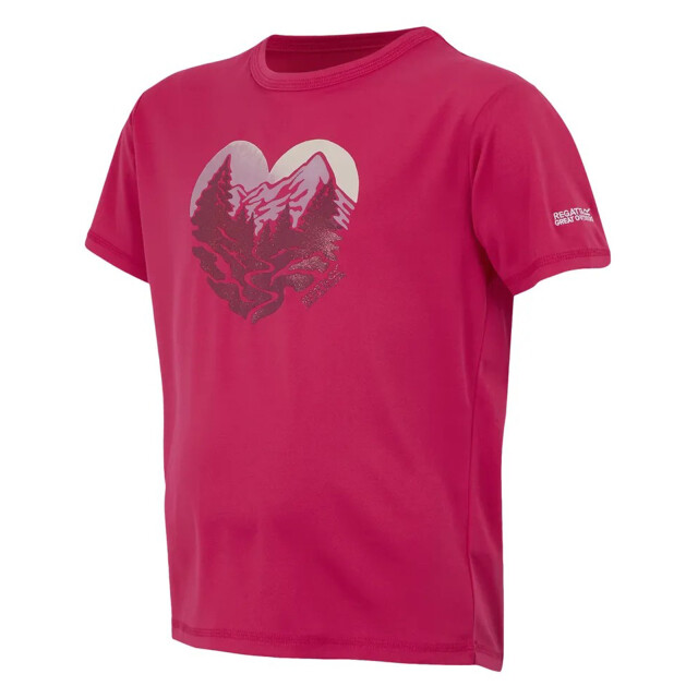 Regatta Kinderen/kinderen alvarado ix berg t-shirt UTRG11912_pop large