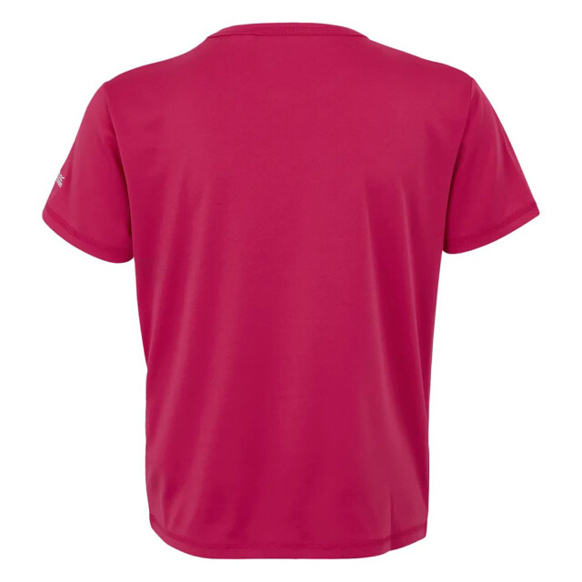 Regatta Kinderen/kinderen alvarado ix berg t-shirt UTRG11912_pop large