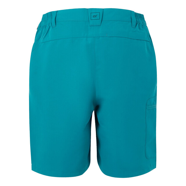 Regatta Dames chaska iii wandelbroek UTRG11343_exoticplume large