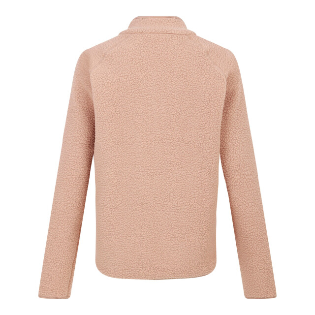 Dare2b Dames excursion fleecejack UTRG11076_cashmere large