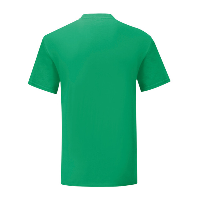 Fruit of the Loom Heren iconisch 150 t-shirt UTFK2628_kellygreen large
