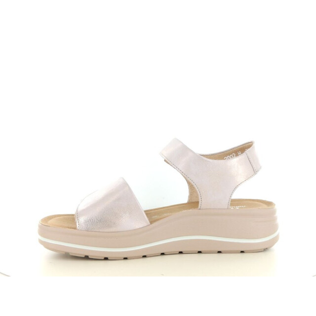 Hartjes 132.2002 wijdte h 290.97.099 large