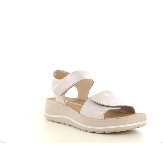 Hartjes 132.2002 wijdte h 290.97.099 large