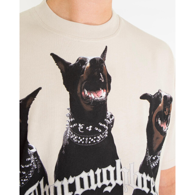 Represent Heren thoroughbred t-shirt MLM41135-2 large
