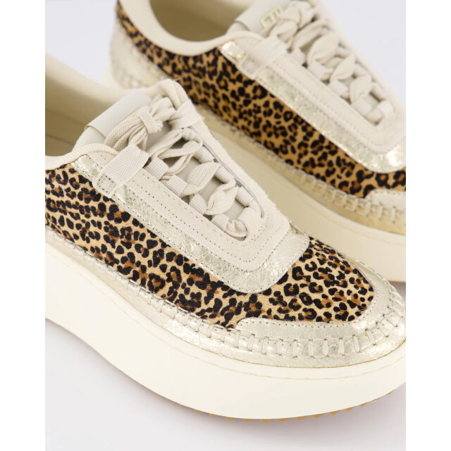 Steve Madden Dames doubletake sneaker glam/leo SM11003558-Glam Leop large