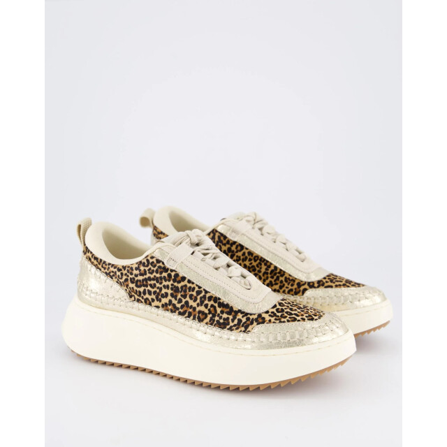 Steve Madden Dames doubletake sneaker glam/leo SM11003558-Glam Leop large
