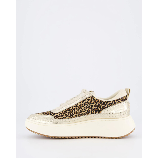Steve Madden Dames doubletake sneaker glam/leo SM11003558-Glam Leop large