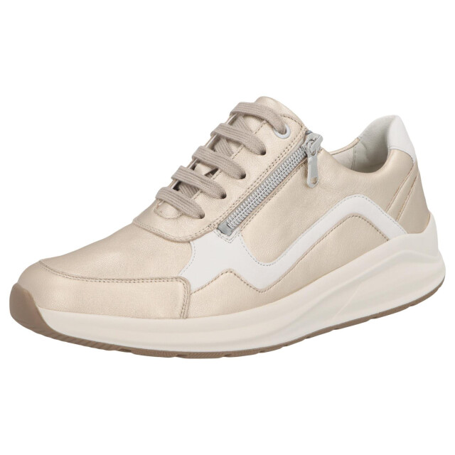 Solidus Kitty 54503-40631 large