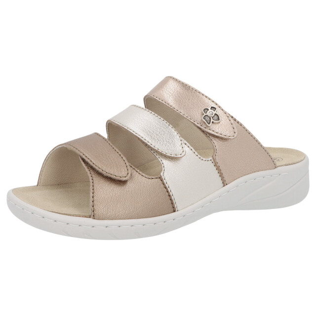 Solidus Wellness spezial 20141-40557 large Solidus Wellness spezial 20141-40557 large