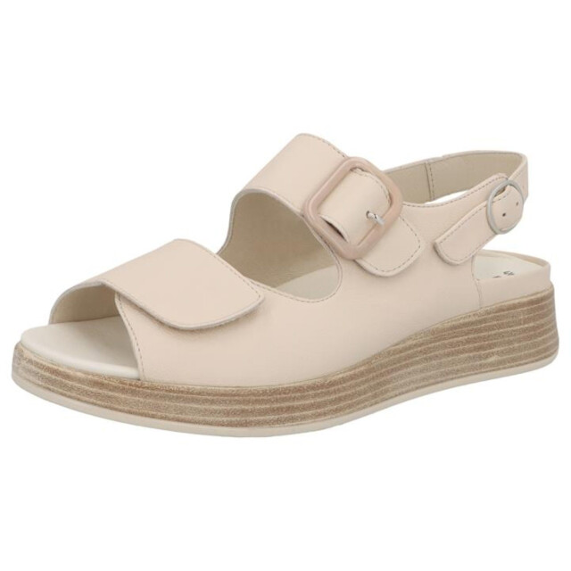 Solidus Kami 79104-40518 large