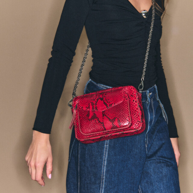 Claris Virot Charly bag python Charly bag python large