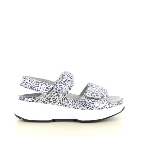 Xsensible 290.96.062 Sandalen Zilver 290.96.062 large