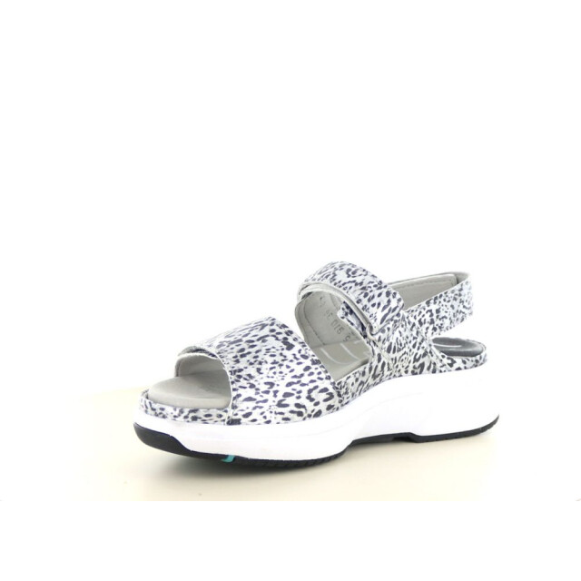 Xsensible 290.96.062 Sandalen Zilver 290.96.062 large