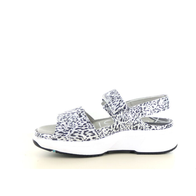 Xsensible 290.96.062 Sandalen Zilver 290.96.062 large