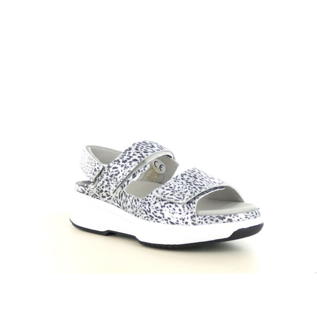 Xsensible 290.96.062 Sandalen Zilver 290.96.062 large