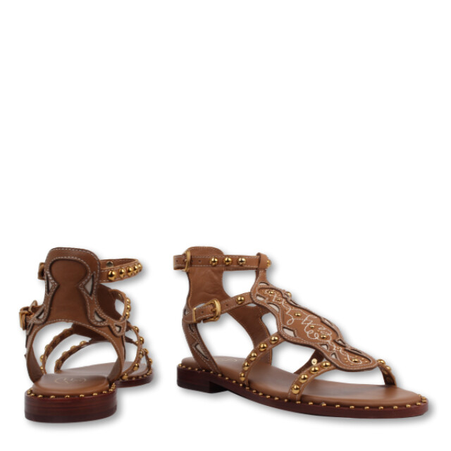 Ash Plaza Ash Plaza large