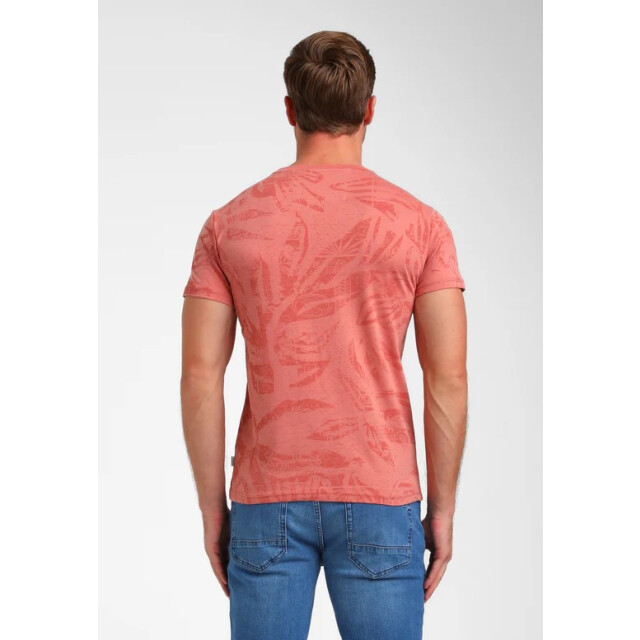 Gabbiano 155911 dessin 5339.69.0006 large