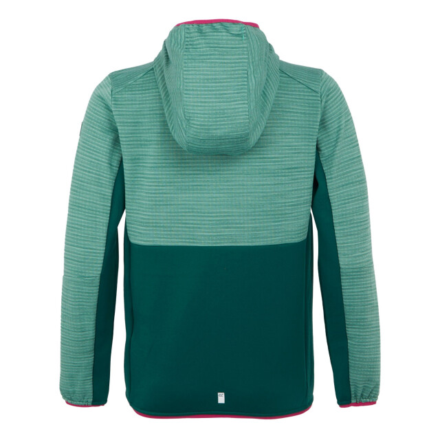 Regatta Kinder/kinder prenton iii jas UTRG11985_rainforestdustygreen large