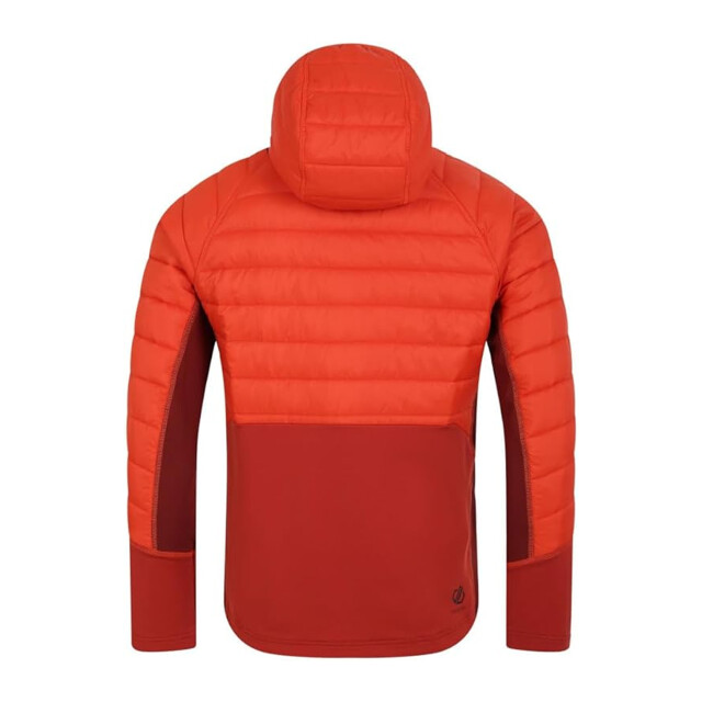 Dare2b Heren afwijkend hybride jas UTRG9673_cinnamontuscanred large Dare2b Heren afwijkend hybride jas UTRG9673_cinnamontuscanred large