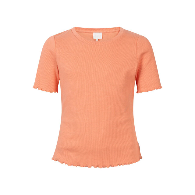 AI&KO Faya co 130  Faya Co 130  large