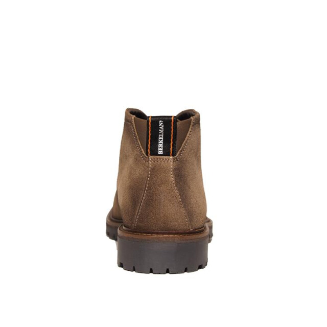 Berkelmans Tanaka Tanaka large