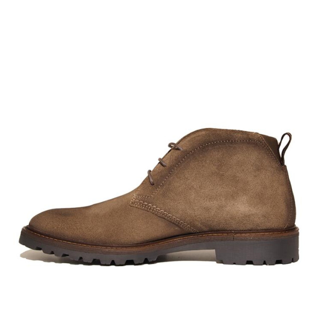 Berkelmans Tanaka Tanaka large