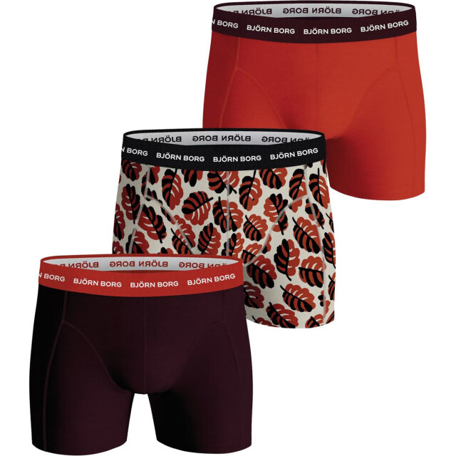 Björn Borg 3-pack boxers 10001565-MP003-S large