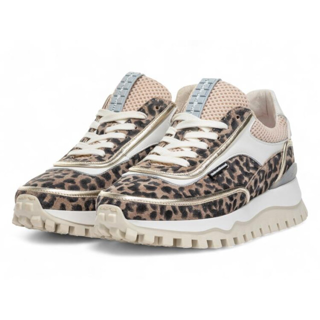 Floris van Bommel SFW-10131 Sneakers Bruin SFW-10131 large