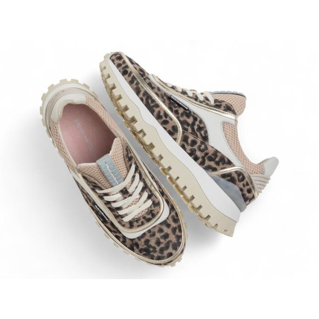 Floris van Bommel SFW-10131 Sneakers Bruin SFW-10131 large