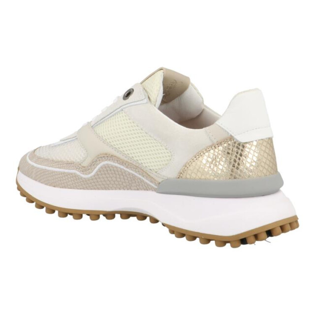 Floris van Bommel SFW-10128 Sneakers Taupe SFW-10128 large