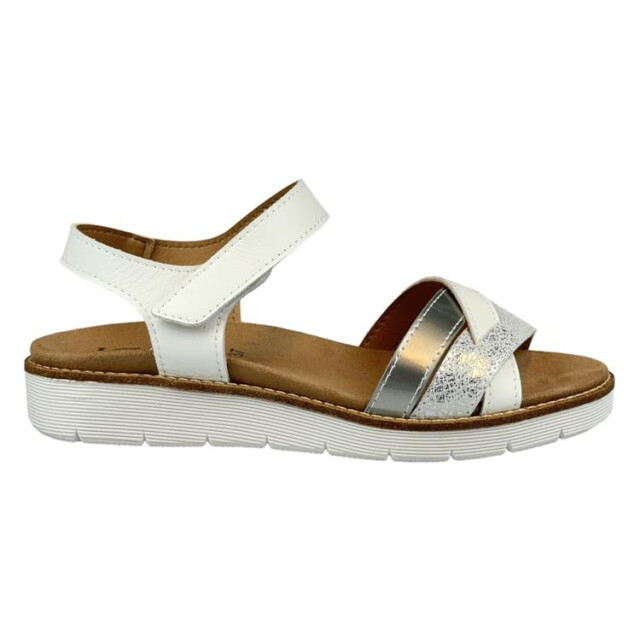 Longo 1126762 1126762 large