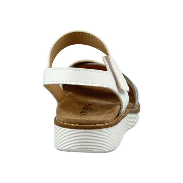 Longo 1126762 1126762 large